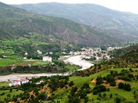 Çamoluk